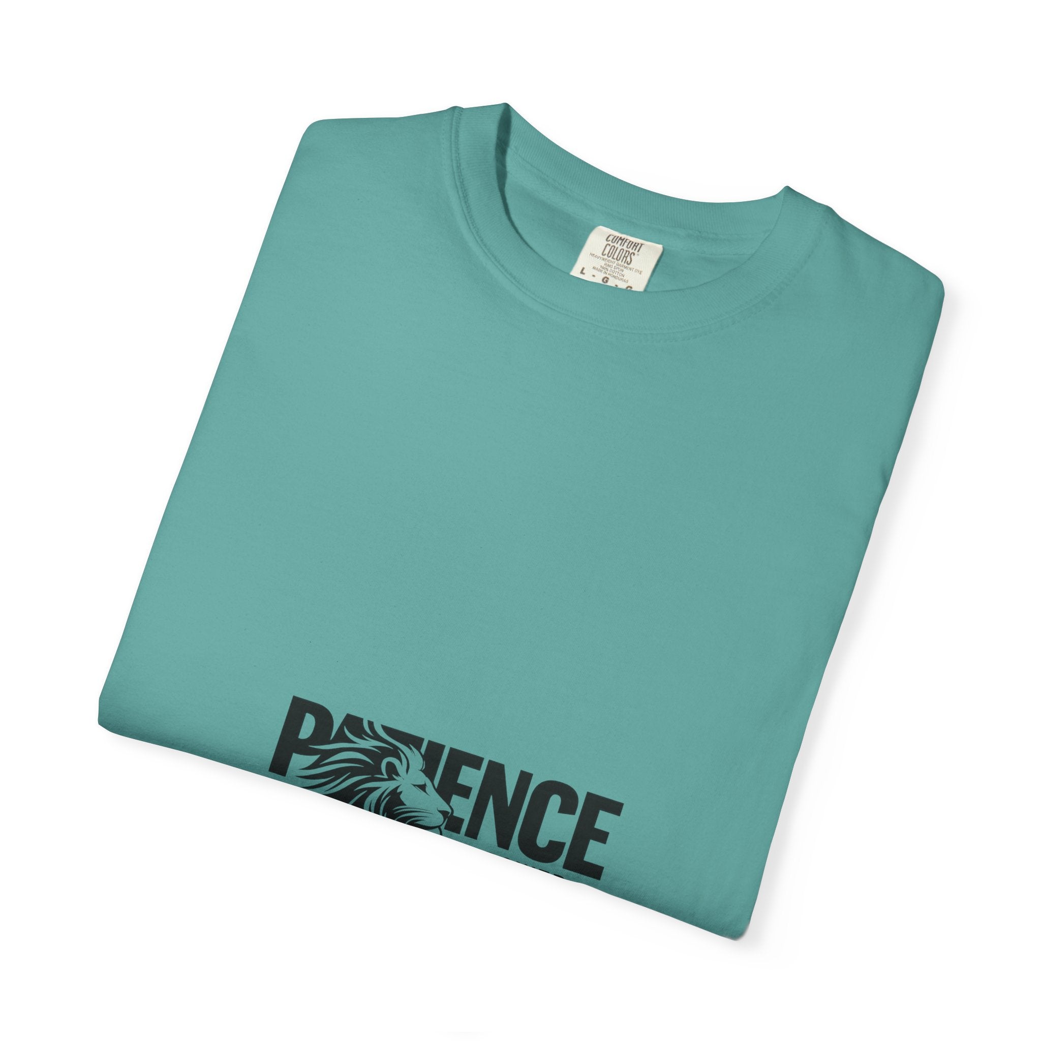 Patience Is Power T‑Shirt — Lion Graphic Inspirational Tee