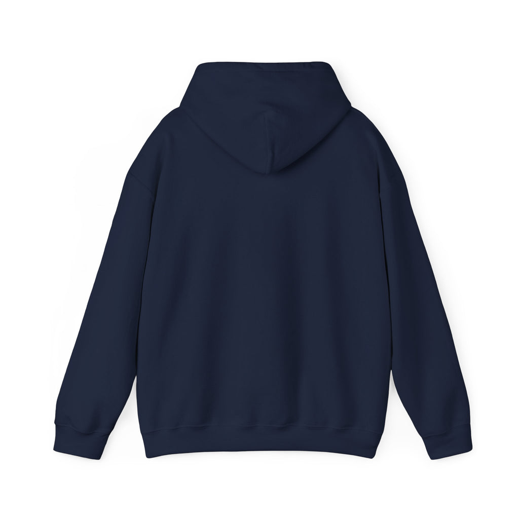 Lion 'Power Doesn't Prove Itself' Hoodie — Inspirational Graphic Sweatshirt