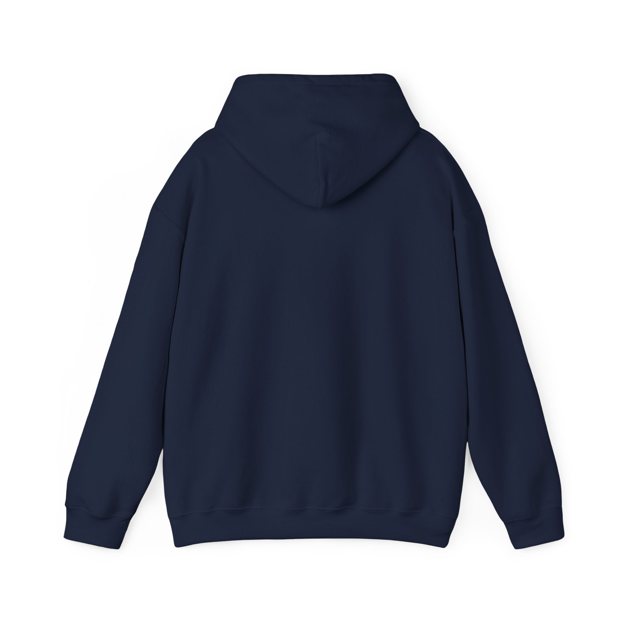 Lion 'Power Doesn't Prove Itself' Hoodie — Inspirational Graphic Sweatshirt