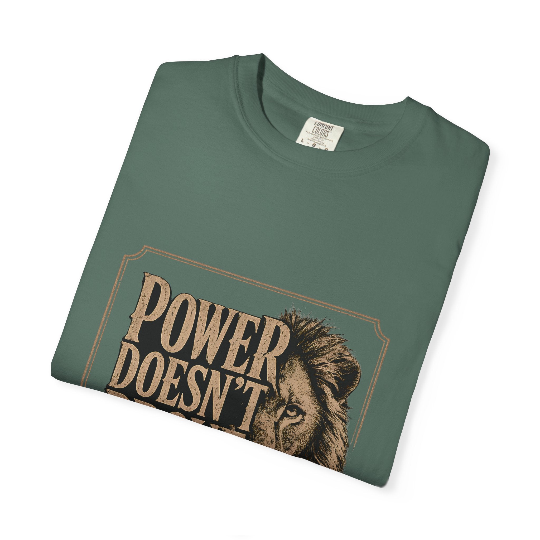 Power Doesn't Prove Itself Lion T-Shirt — Motivational Graphic Tee
