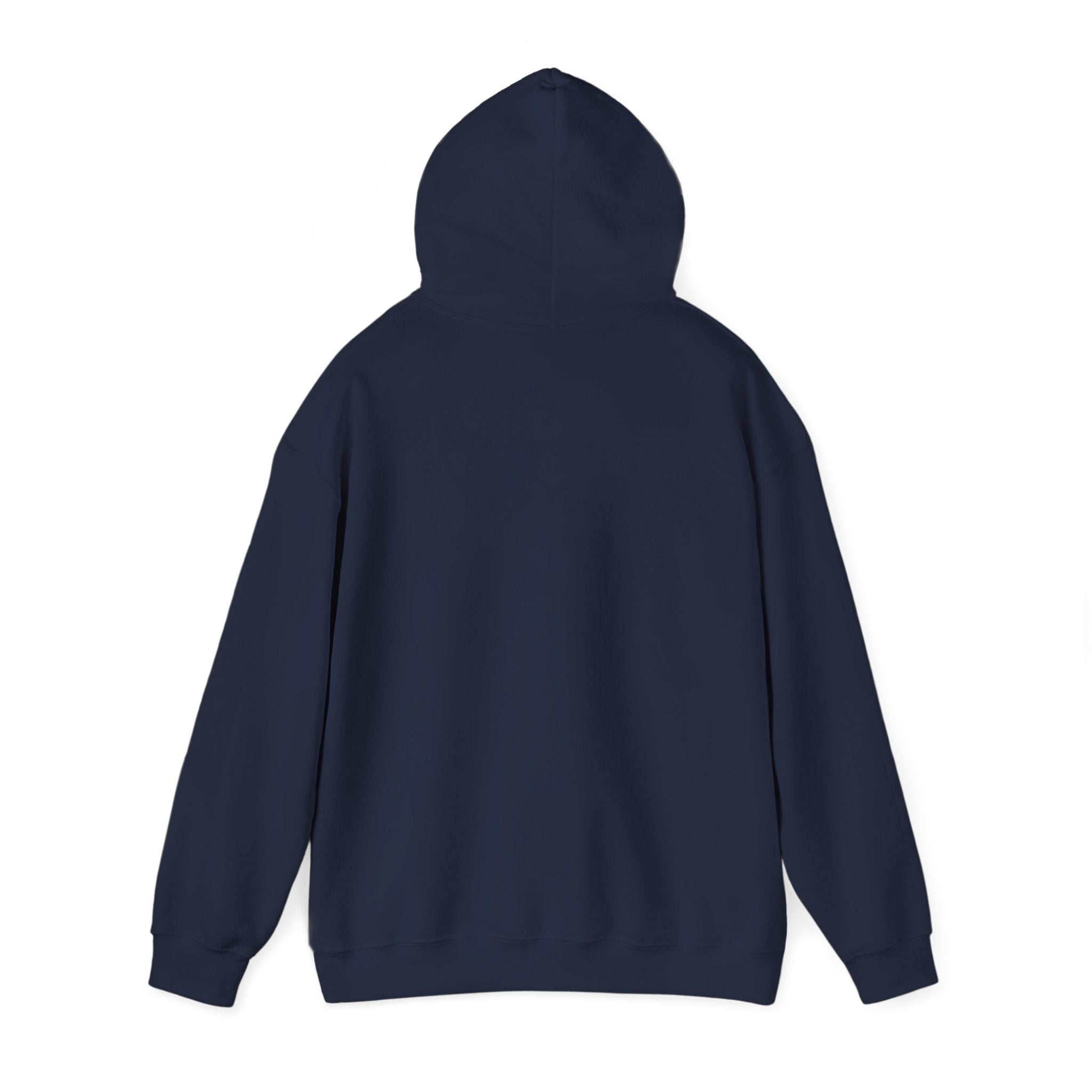 Lion 'Power Doesn't Prove Itself' Hoodie — Inspirational Graphic Sweatshirt