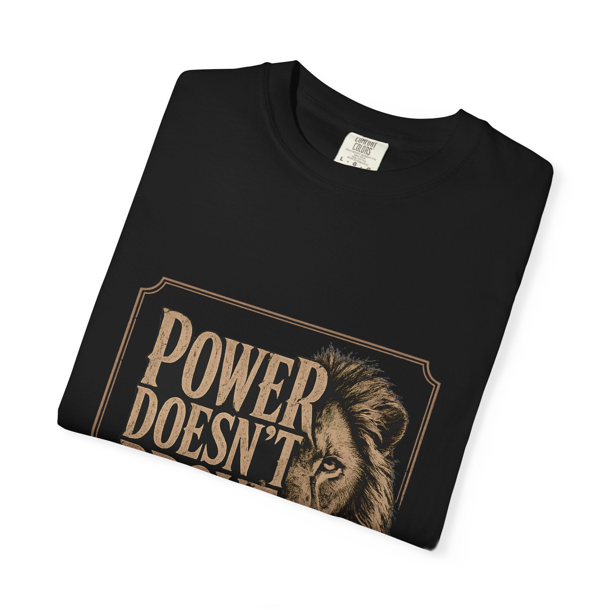 Power Doesn't Prove Itself Lion T-Shirt — Motivational Graphic Tee