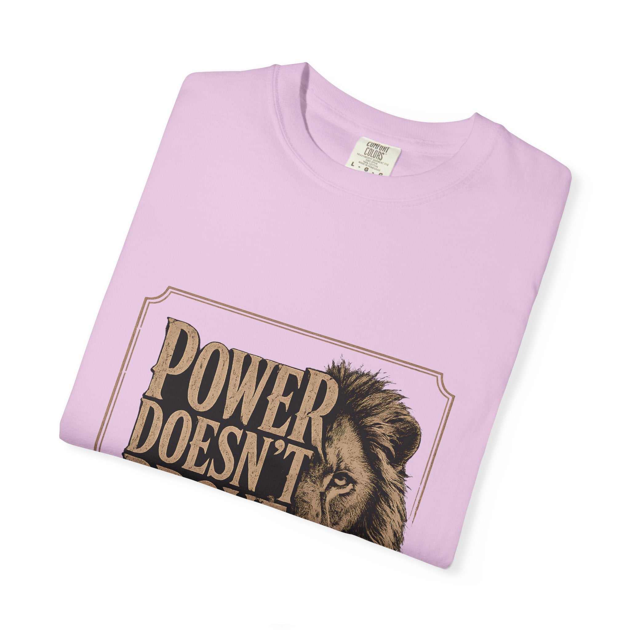 Power Doesn't Prove Itself Lion T-Shirt — Motivational Graphic Tee