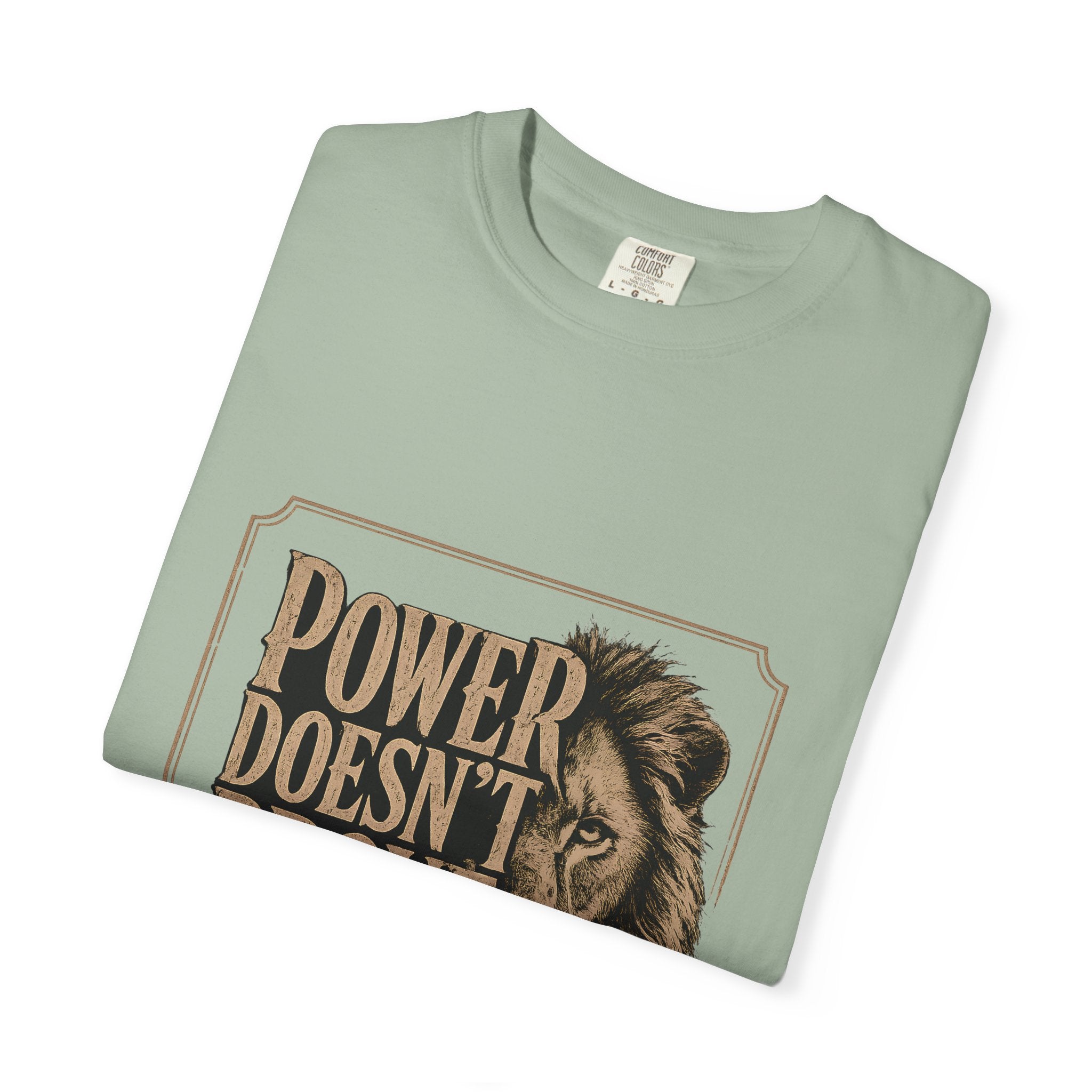 Power Doesn't Prove Itself Lion T-Shirt — Motivational Graphic Tee