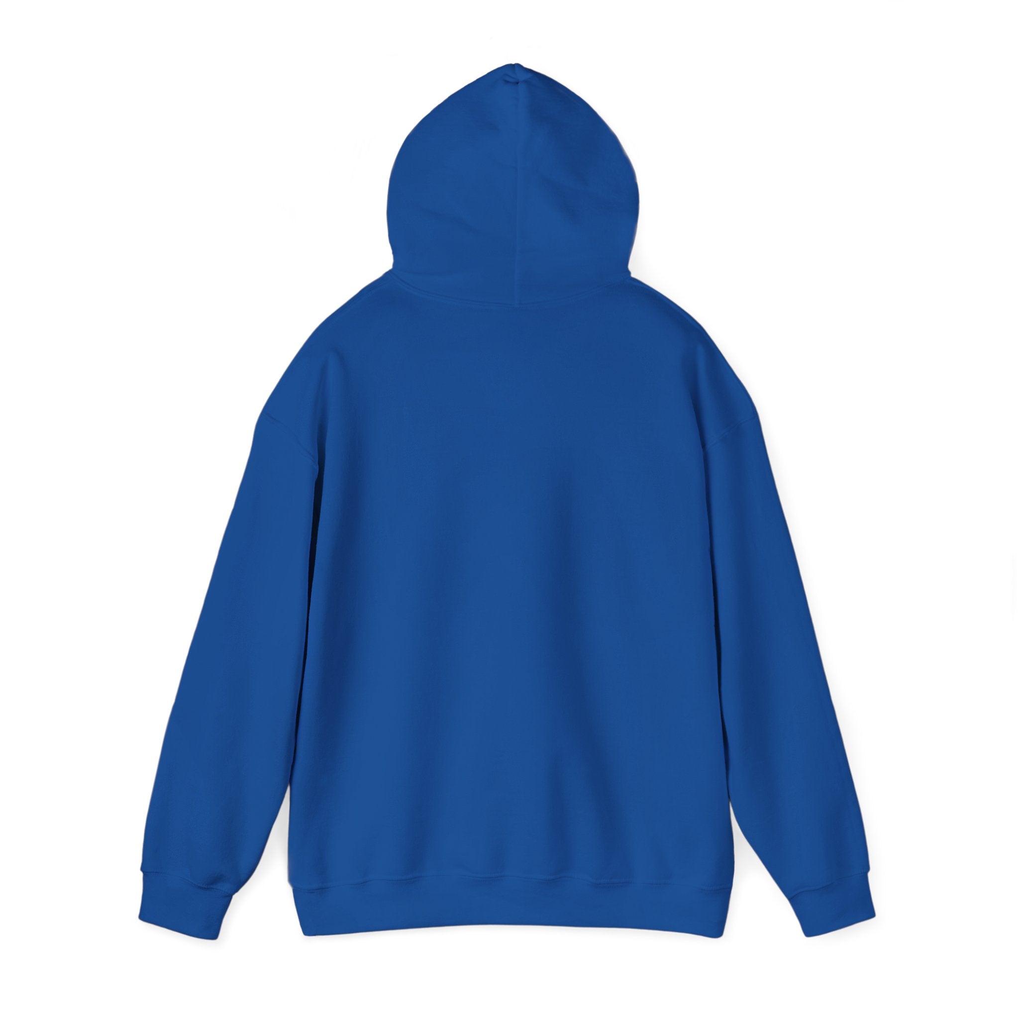 Lion 'Power Doesn't Prove Itself' Hoodie — Inspirational Graphic Sweatshirt