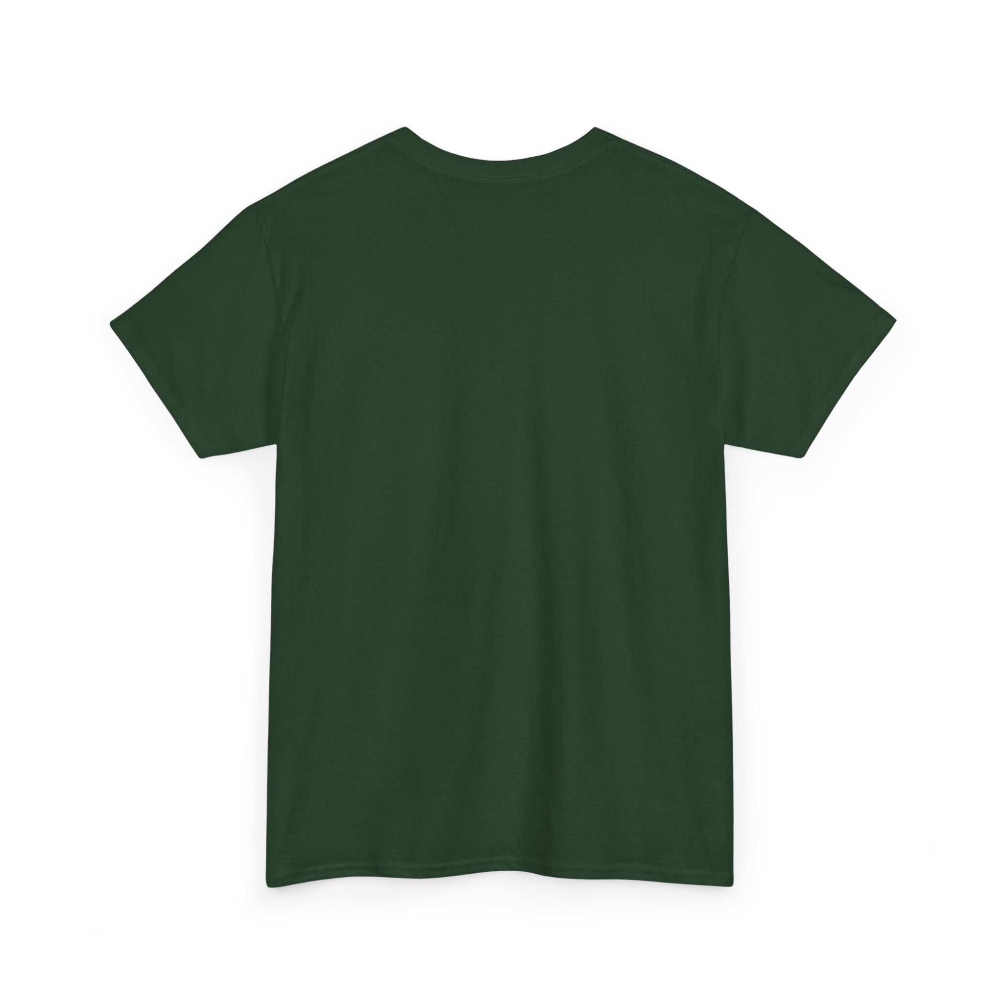 Lion Graphic Tee — "Power Doesn't Prove Itself" Motivational T-Shirt