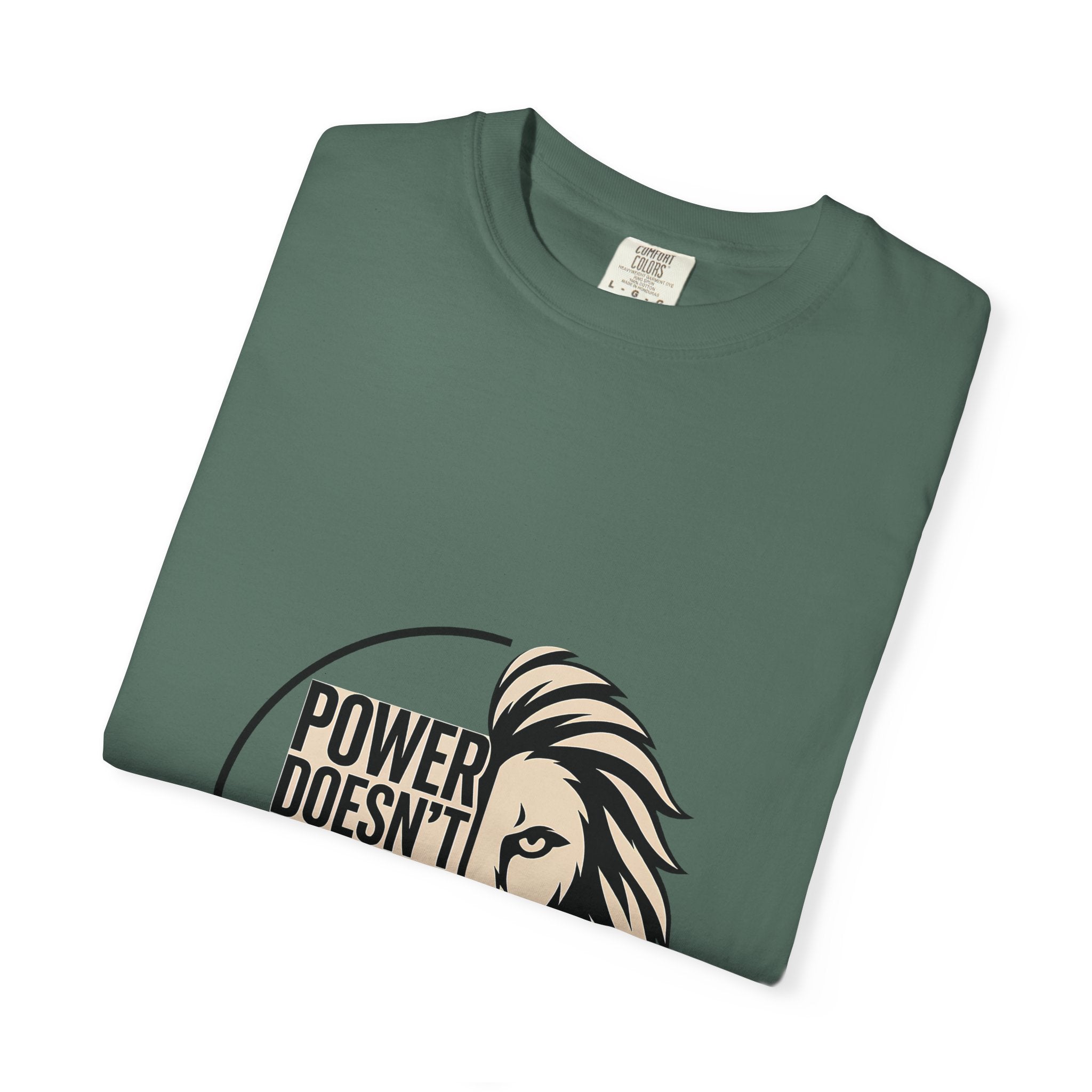 Power Doesn’t Prove Itself Lion T-Shirt