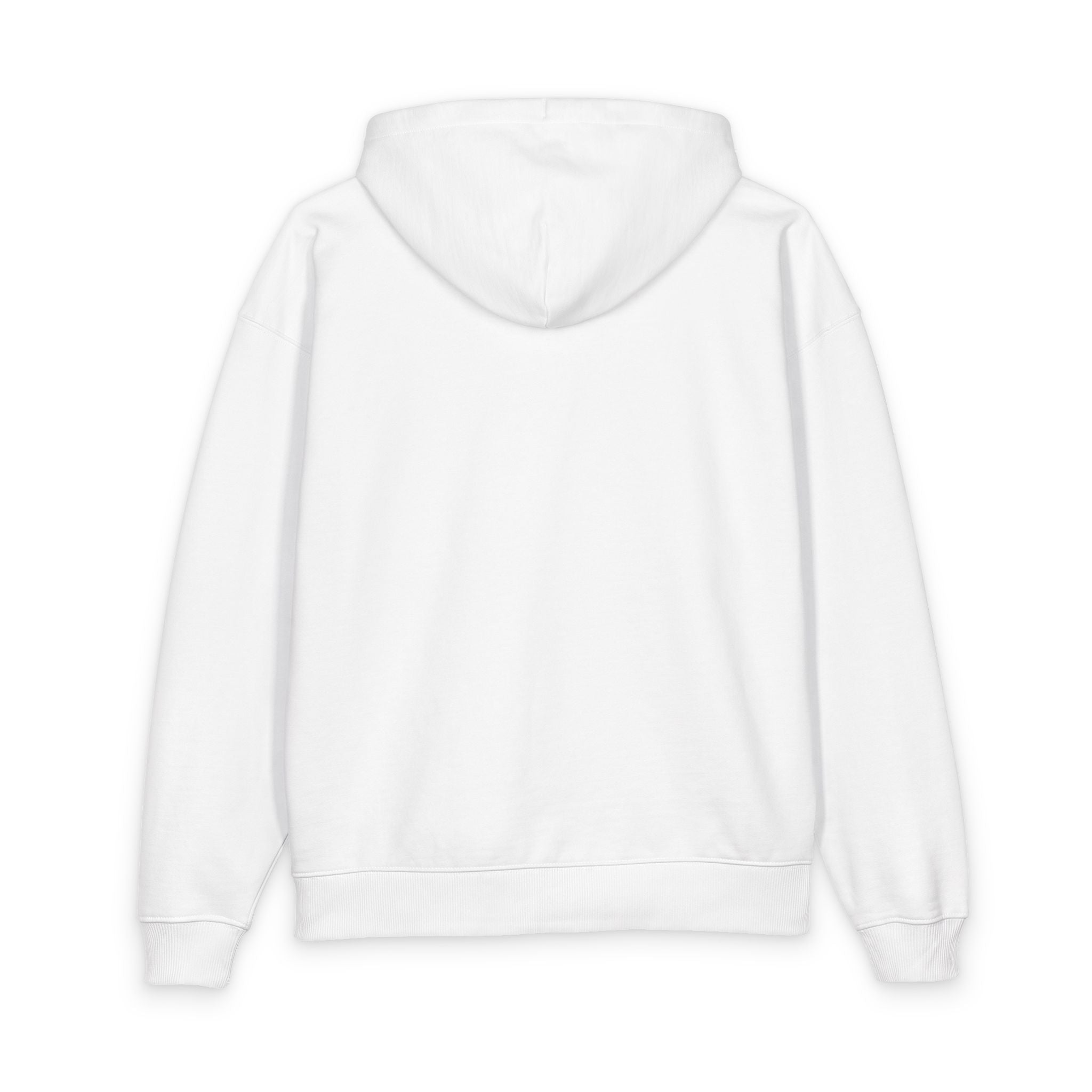 Brave Lion Hoodie — Inspirational Graphic Pullover