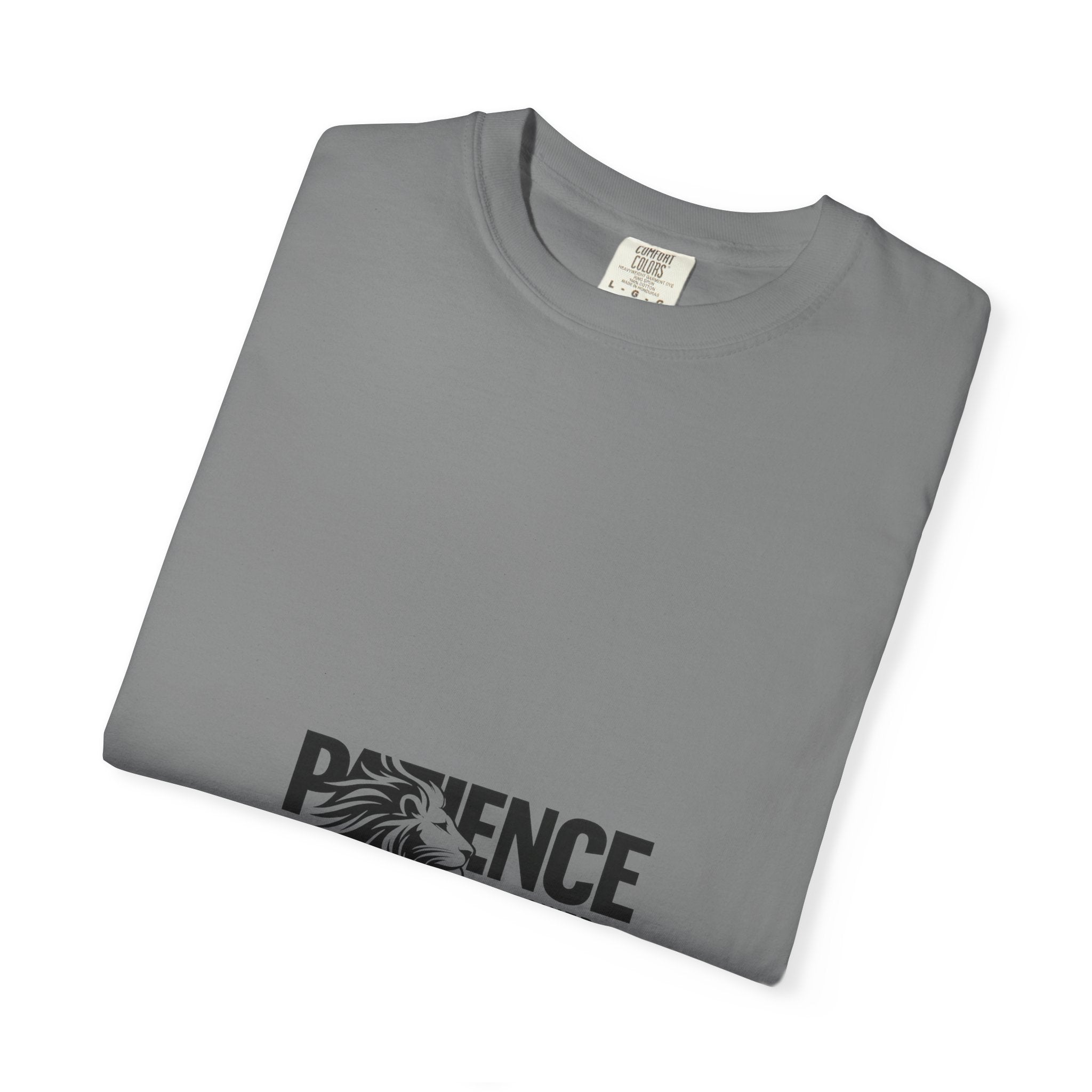 Patience Is Power T‑Shirt — Lion Graphic Inspirational Tee