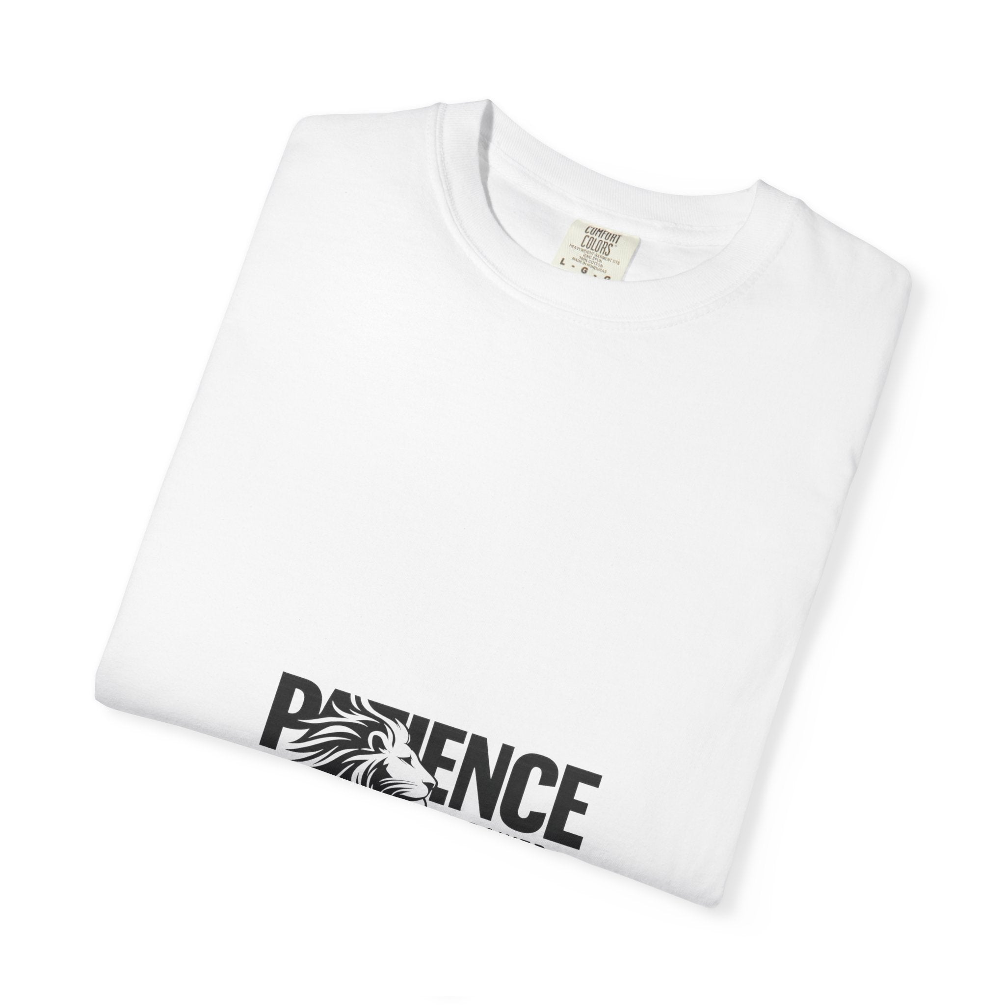 Patience Is Power T‑Shirt — Lion Graphic Inspirational Tee