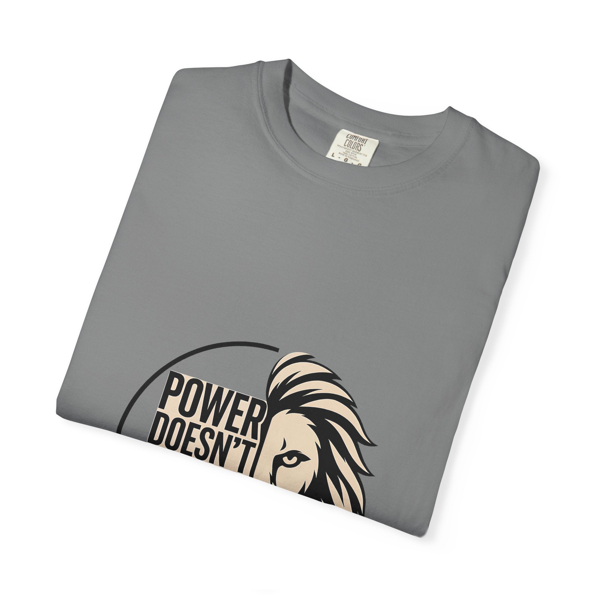 Power Doesn’t Prove Itself Lion T-Shirt