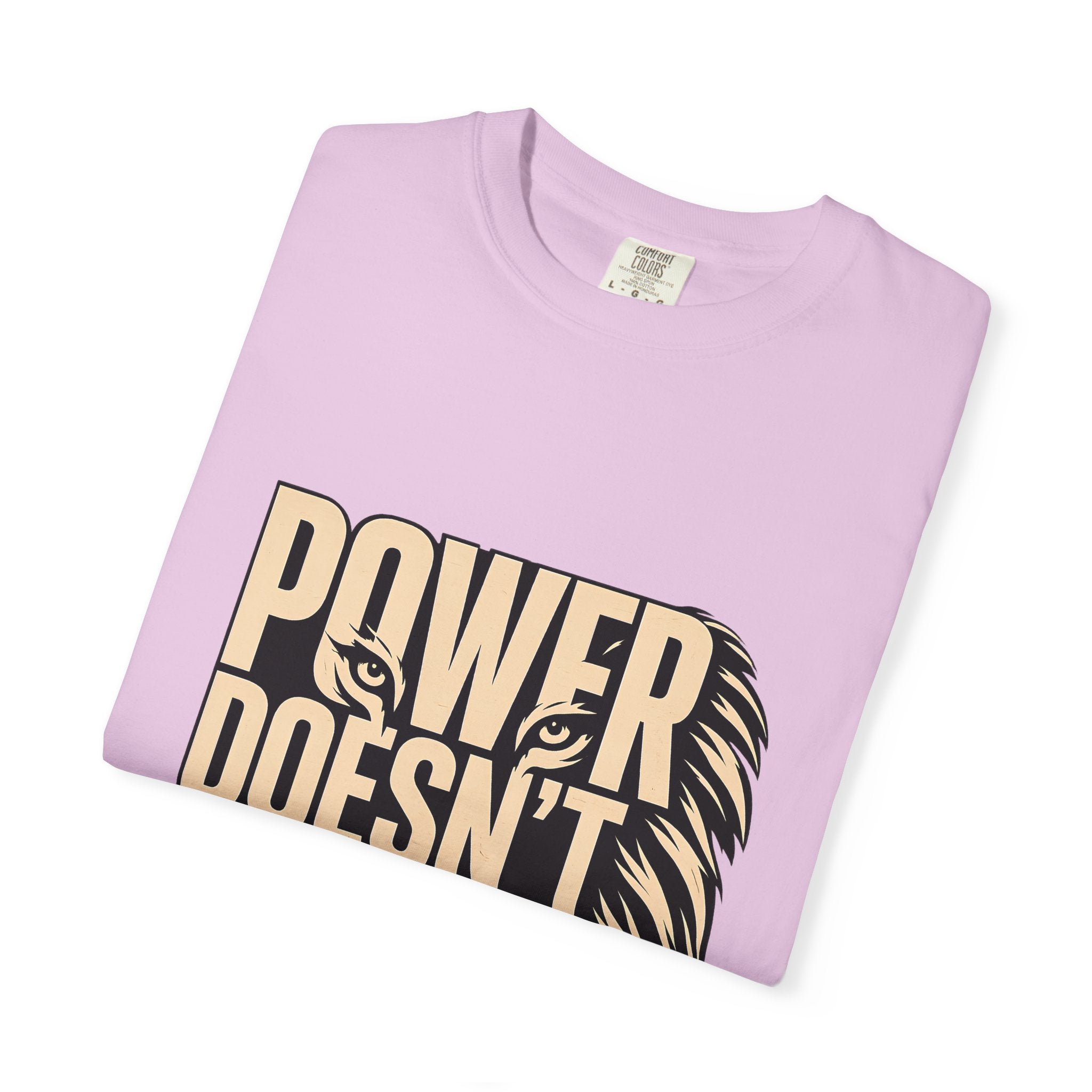 T-Shirt — "Power Doesn’t Prove Itself" Lion Graphic Motivational Tee