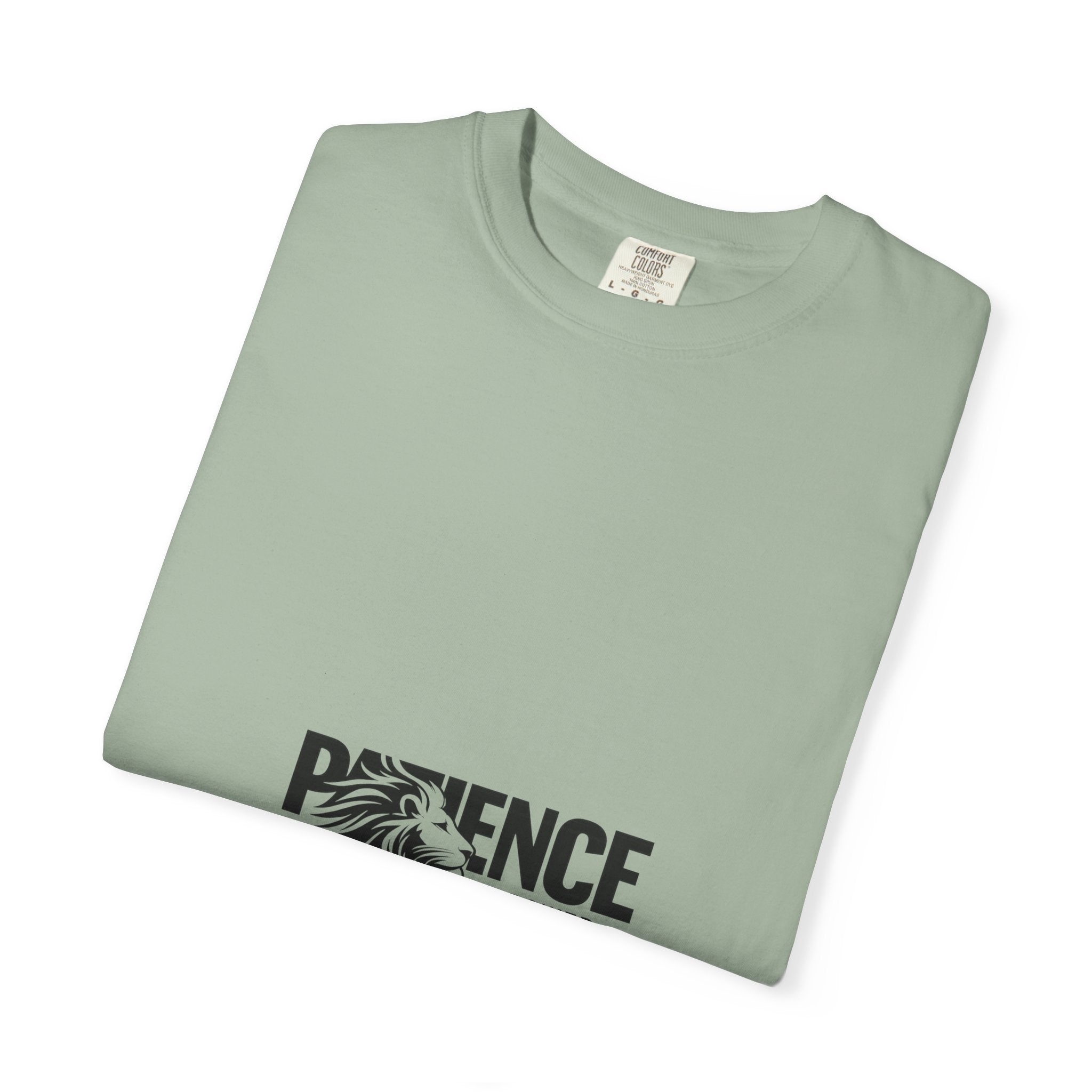 Patience Is Power T‑Shirt — Lion Graphic Inspirational Tee