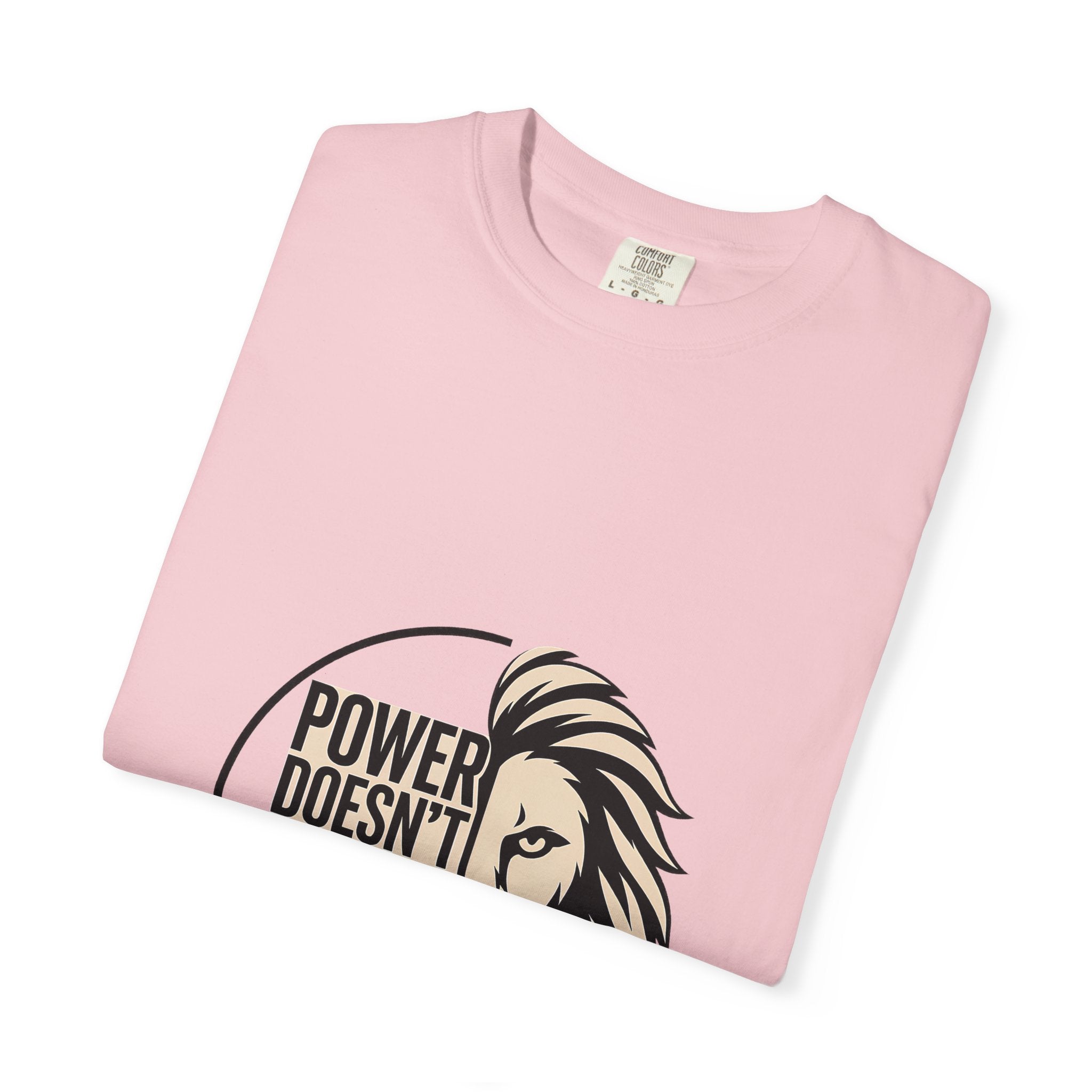 Power Doesn’t Prove Itself Lion T-Shirt