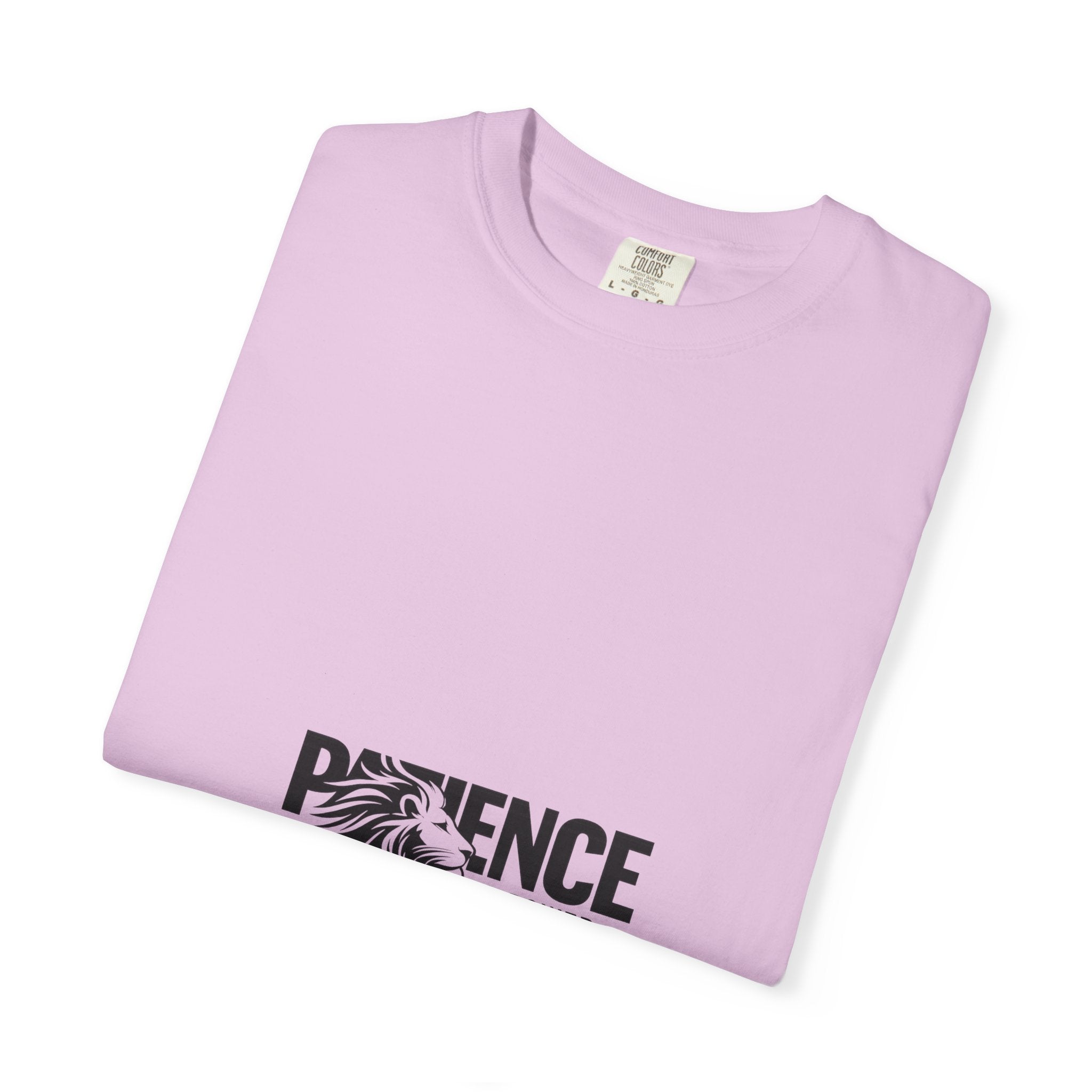 Patience Is Power T‑Shirt — Lion Graphic Inspirational Tee