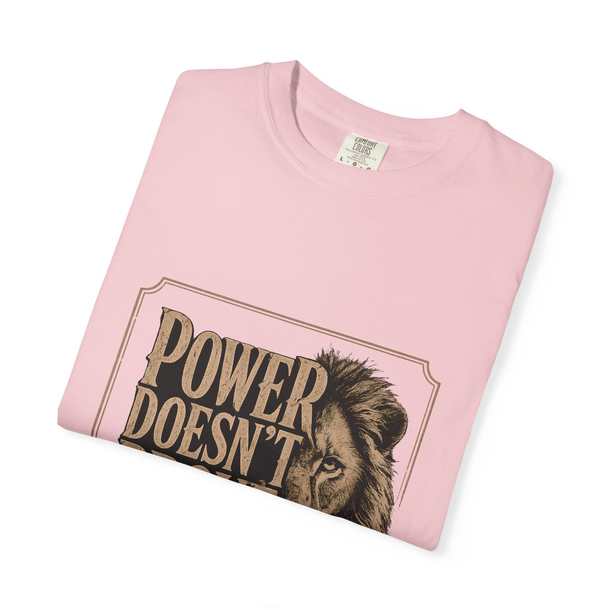 Power Doesn't Prove Itself Lion T-Shirt — Motivational Graphic Tee