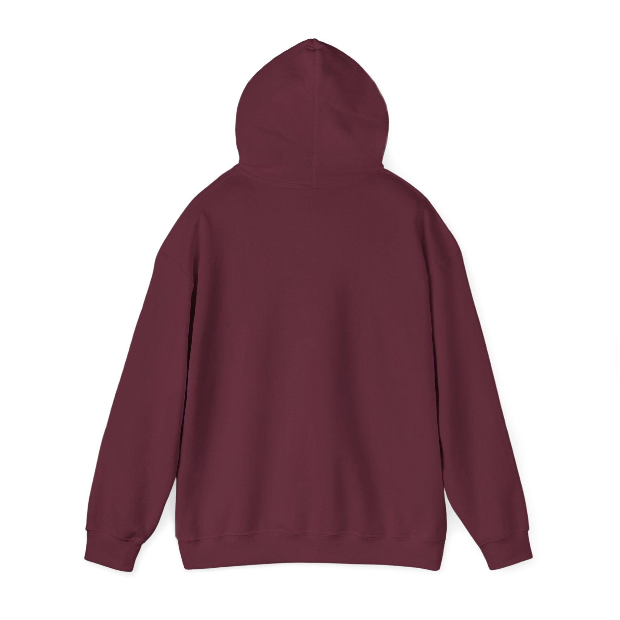 Lion 'Power Doesn't Prove Itself' Hoodie — Inspirational Graphic Sweatshirt