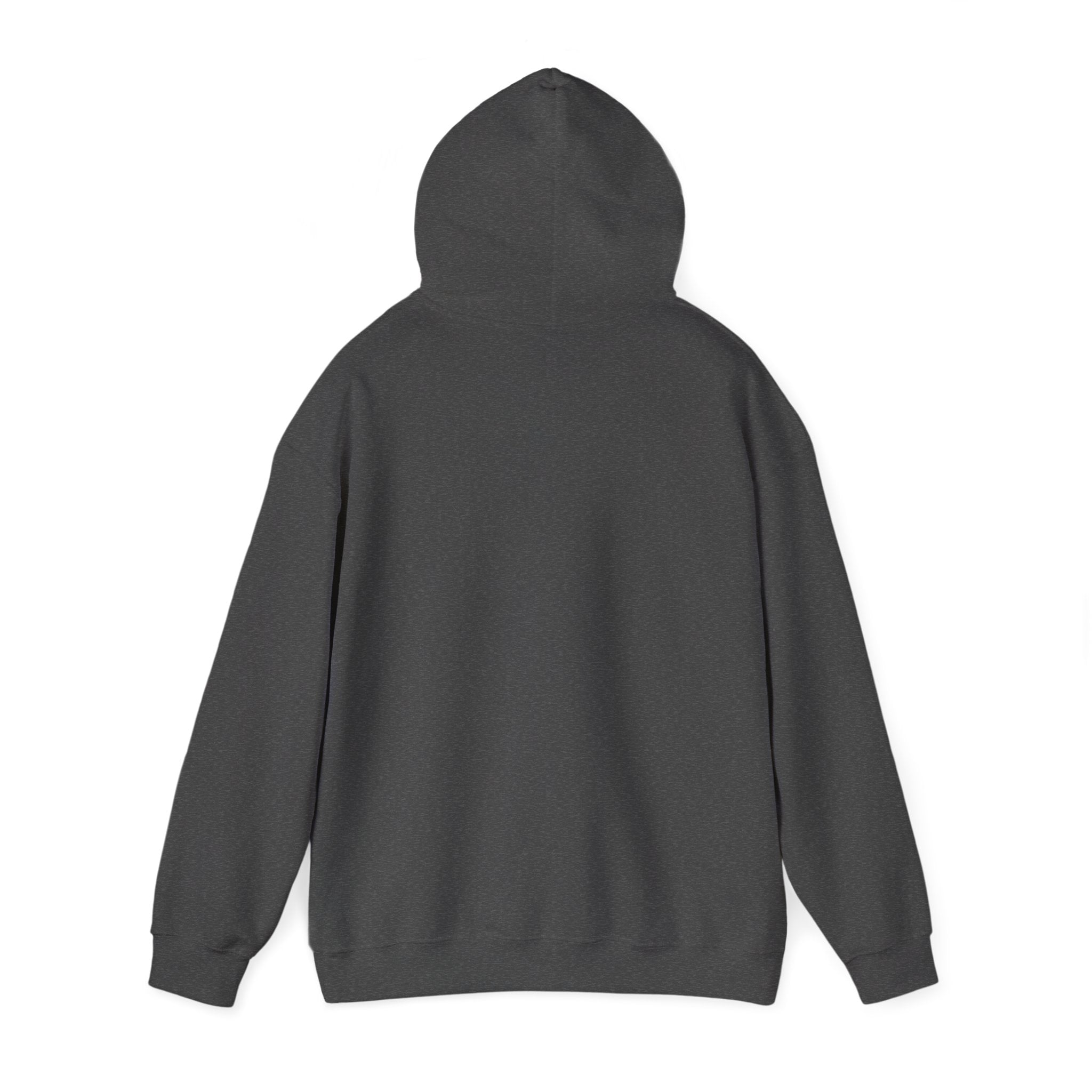 Lion 'Power Doesn't Prove Itself' Hoodie — Inspirational Graphic Sweatshirt