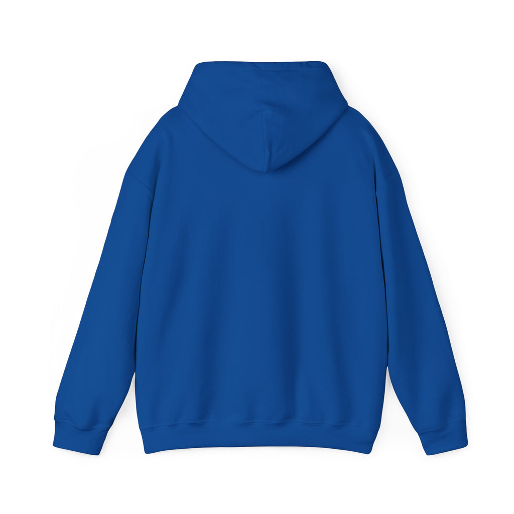 Lion 'Power Doesn't Prove Itself' Hoodie — Inspirational Graphic Sweatshirt