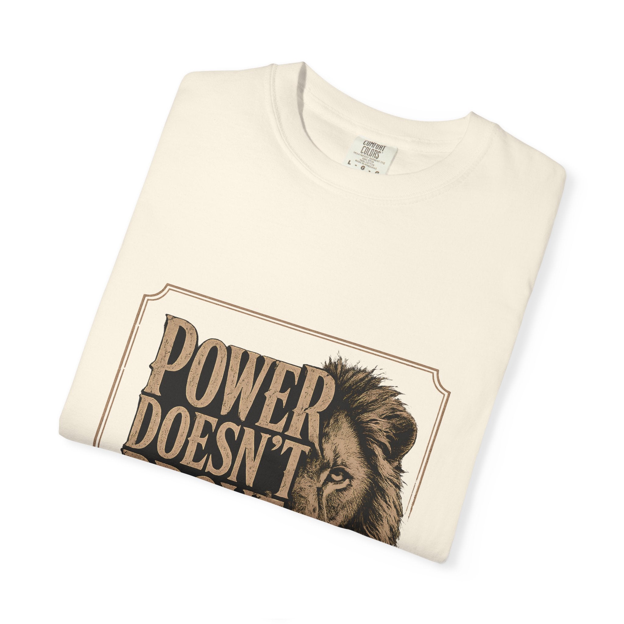 Power Doesn't Prove Itself Lion T-Shirt — Motivational Graphic Tee