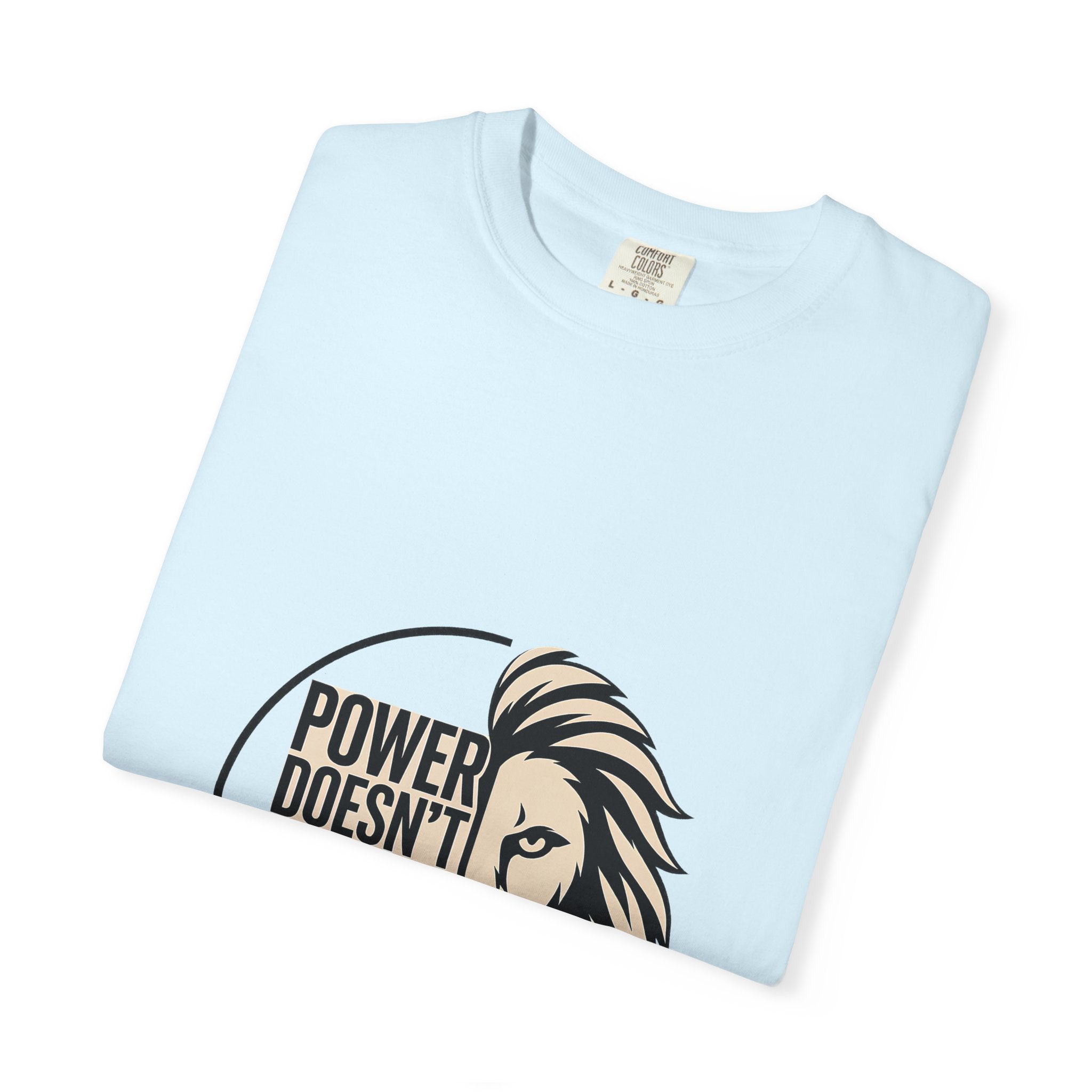 Power Doesn’t Prove Itself Lion T-Shirt