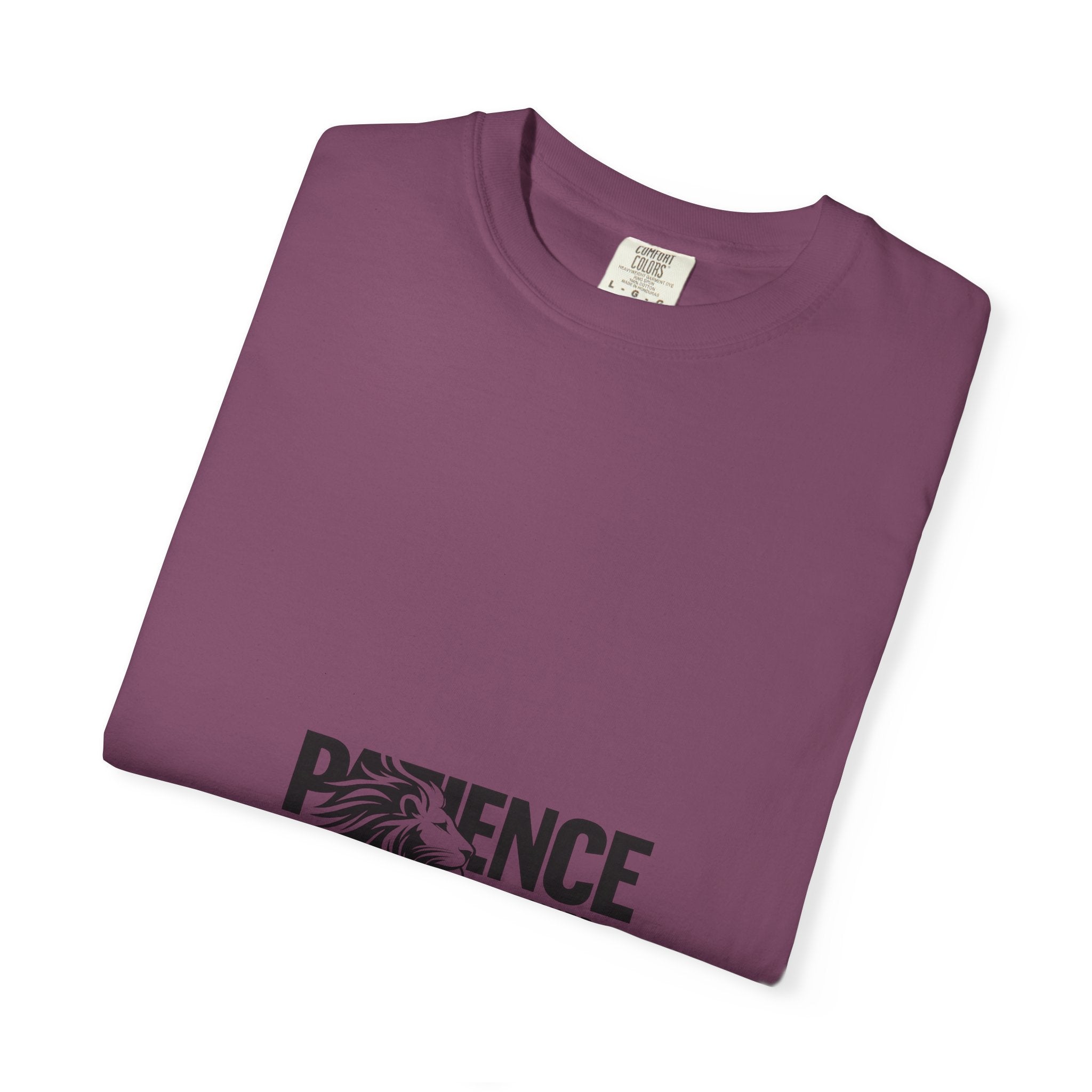 Patience Is Power T‑Shirt — Lion Graphic Inspirational Tee