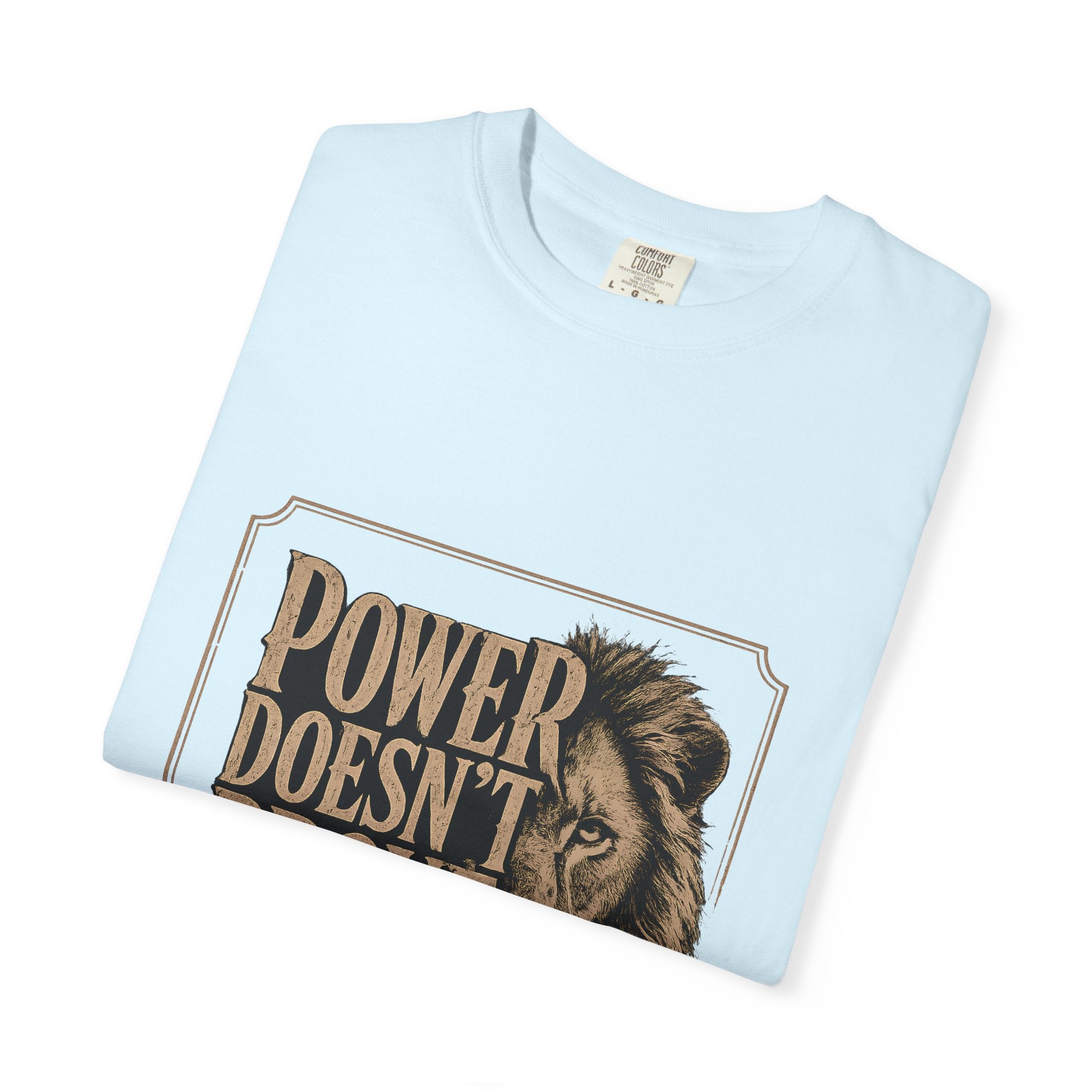 Power Doesn't Prove Itself Lion T-Shirt — Motivational Graphic Tee