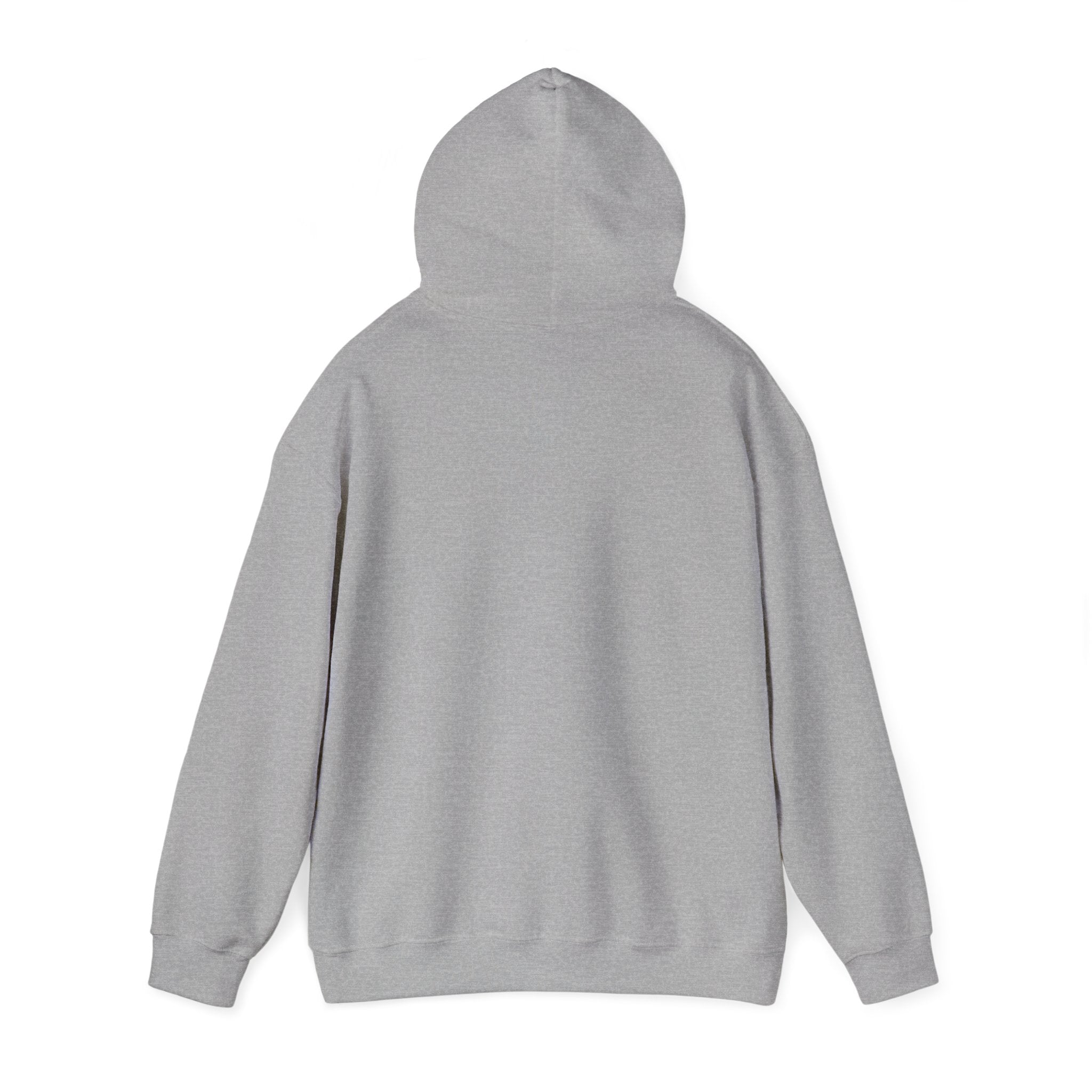 Patience Dove Hoodie — Minimal Inspirational Graphic Hooded Sweatshirt