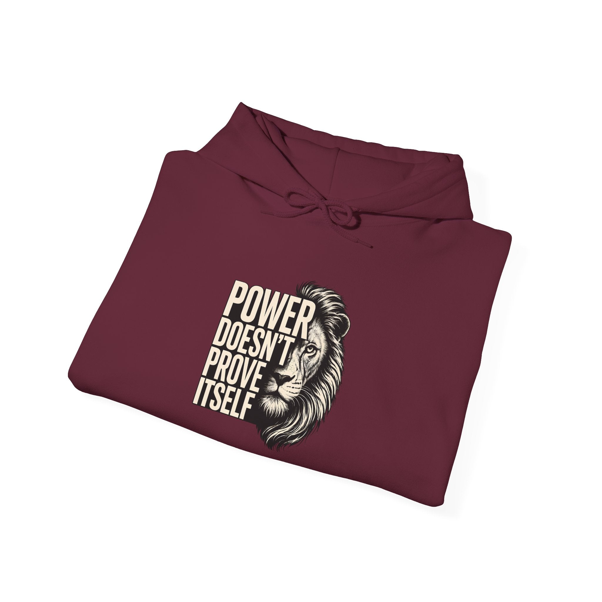 Lion 'Power Doesn't Prove Itself' Hoodie — Inspirational Graphic Sweatshirt