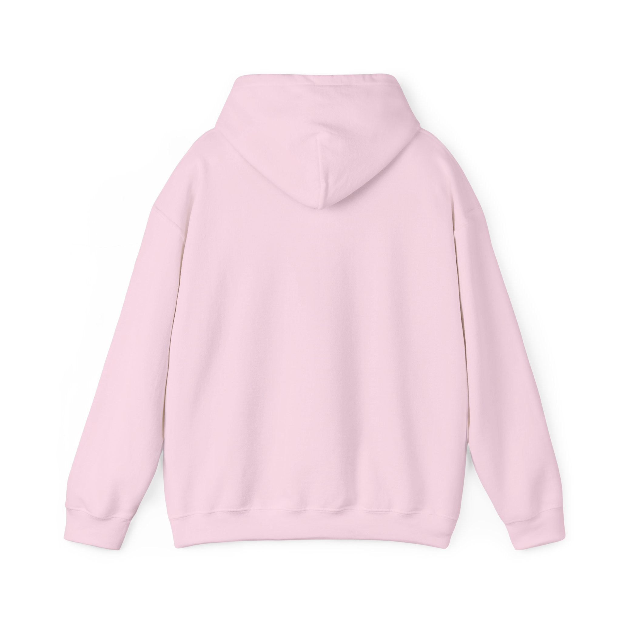 Patience Dove Hoodie — Minimal Inspirational Graphic Hooded Sweatshirt
