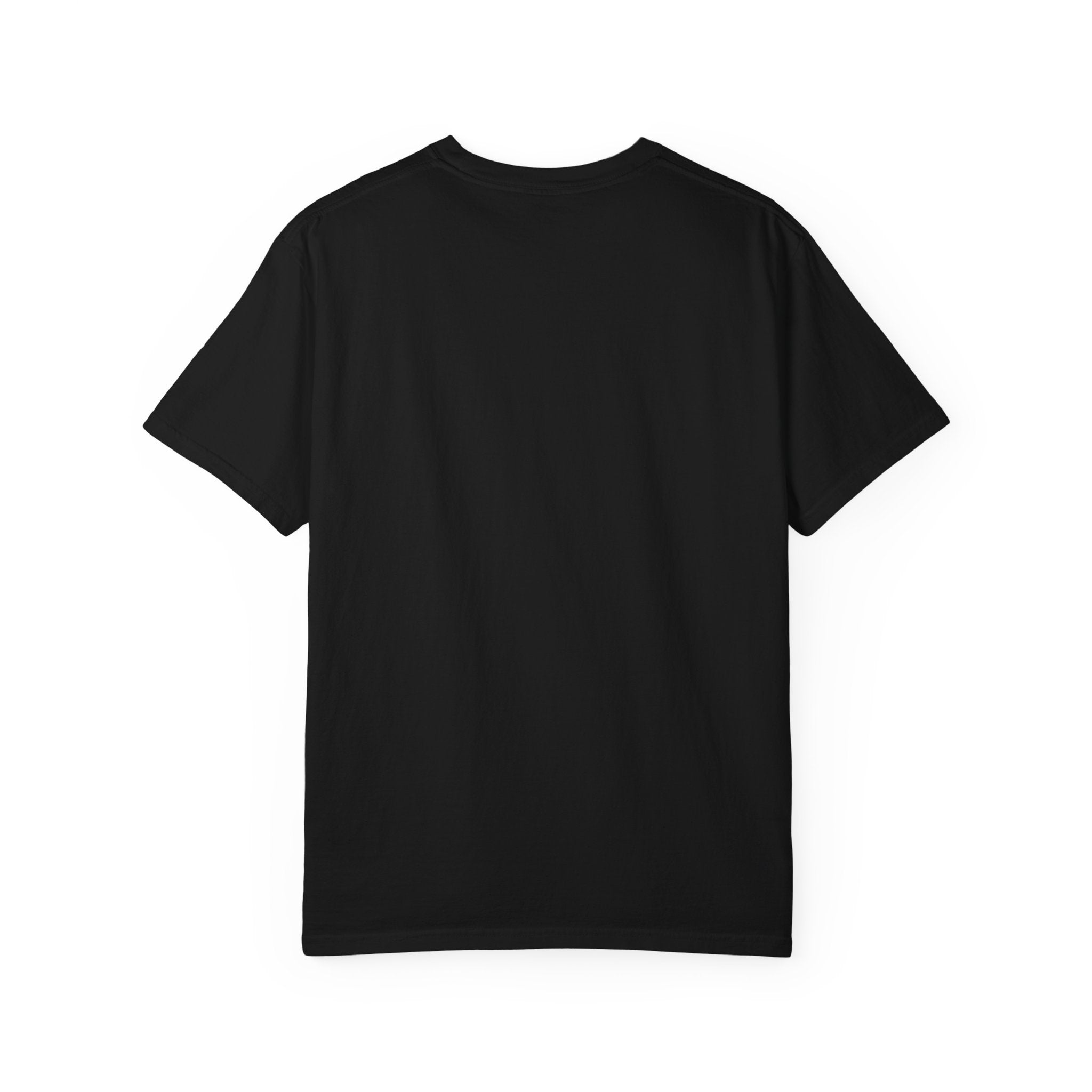 Power Doesn't Prove Itself Lion T-Shirt — Motivational Graphic Tee