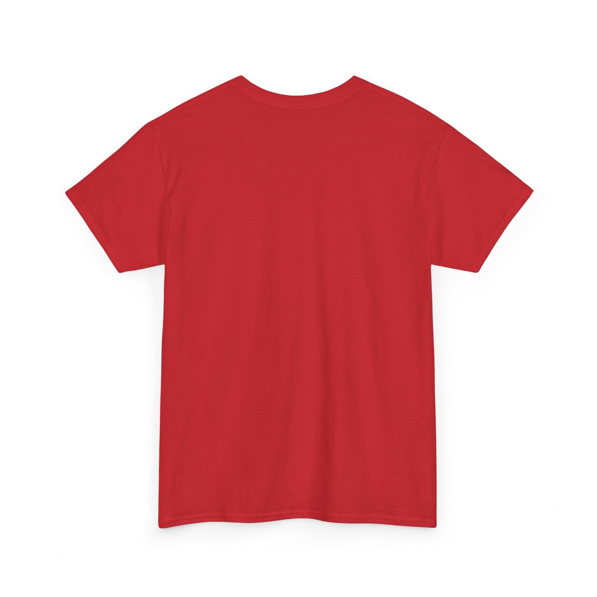 Lion Graphic Tee — "Power Doesn't Prove Itself" Motivational T-Shirt