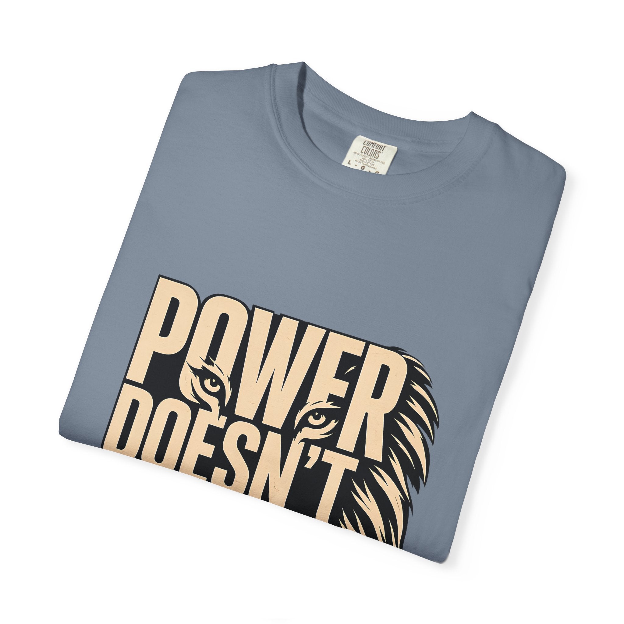 T-Shirt — "Power Doesn’t Prove Itself" Lion Graphic Motivational Tee