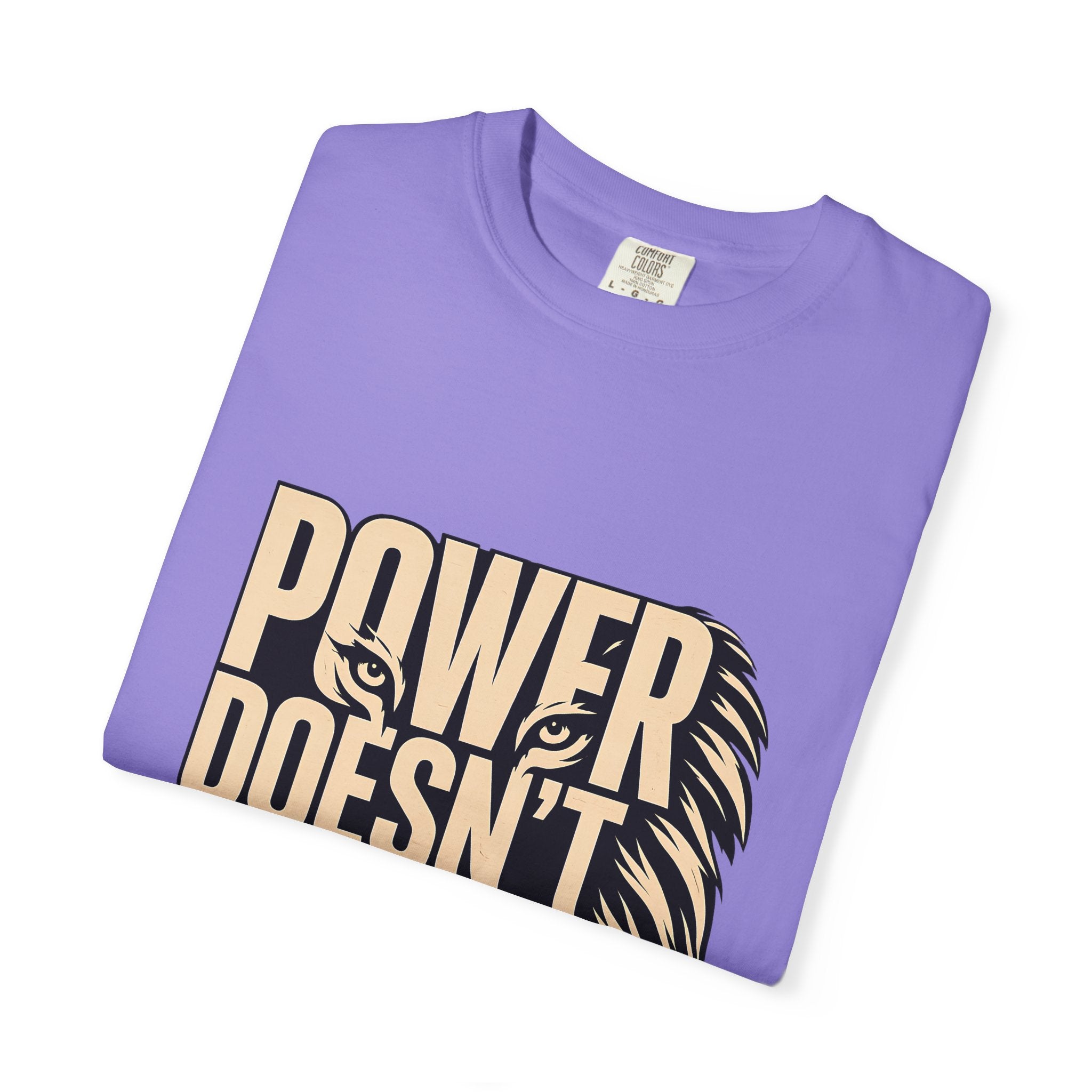 T-Shirt — "Power Doesn’t Prove Itself" Lion Graphic Motivational Tee