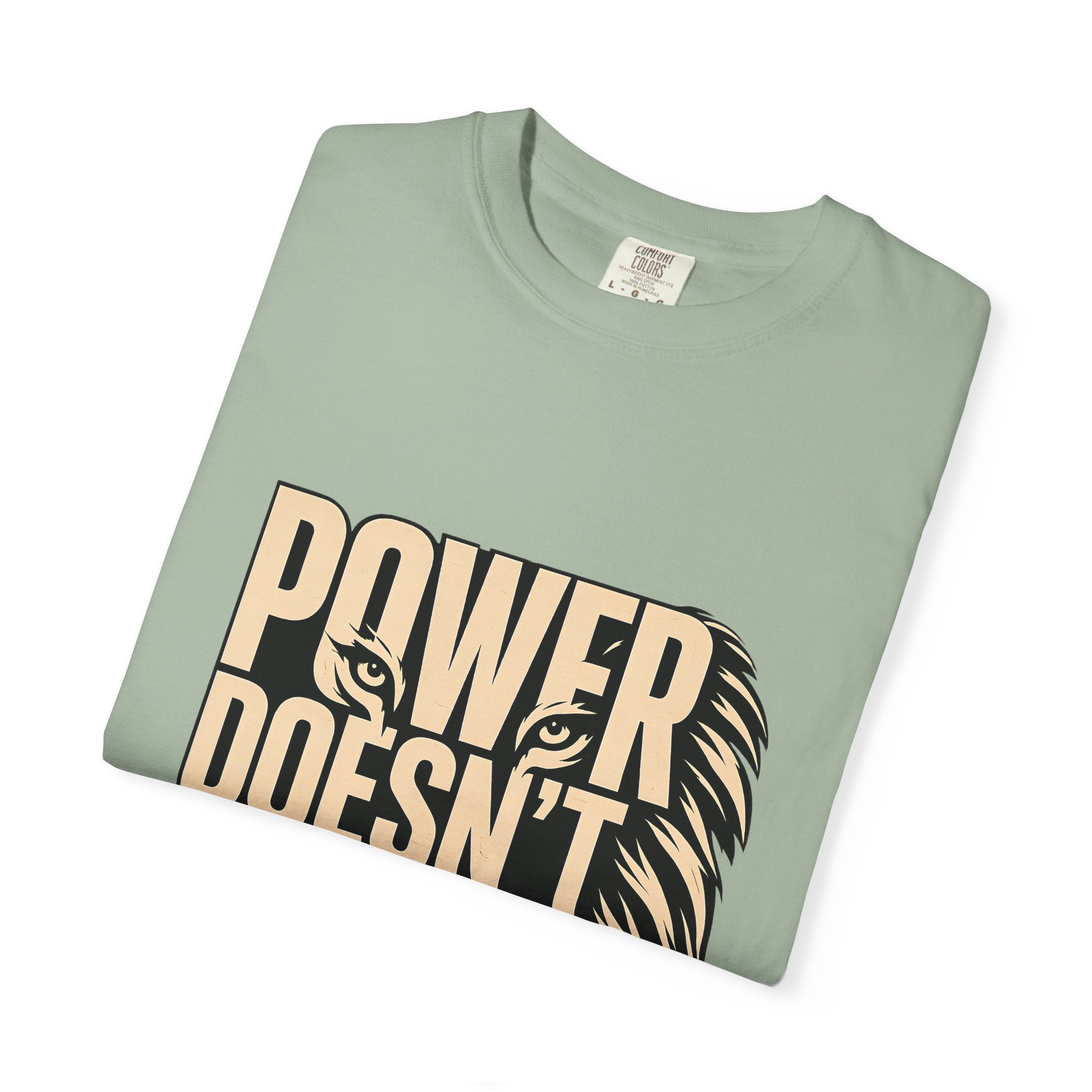 T-Shirt — "Power Doesn’t Prove Itself" Lion Graphic Motivational Tee