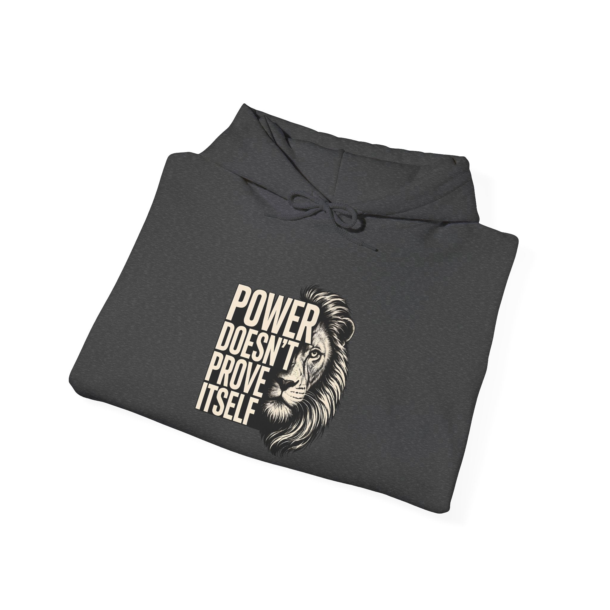 Lion 'Power Doesn't Prove Itself' Hoodie — Inspirational Graphic Sweatshirt