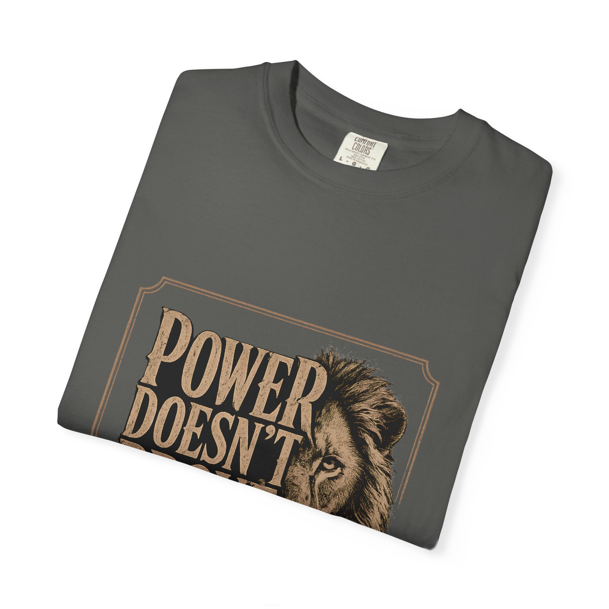 Power Doesn't Prove Itself Lion T-Shirt — Motivational Graphic Tee