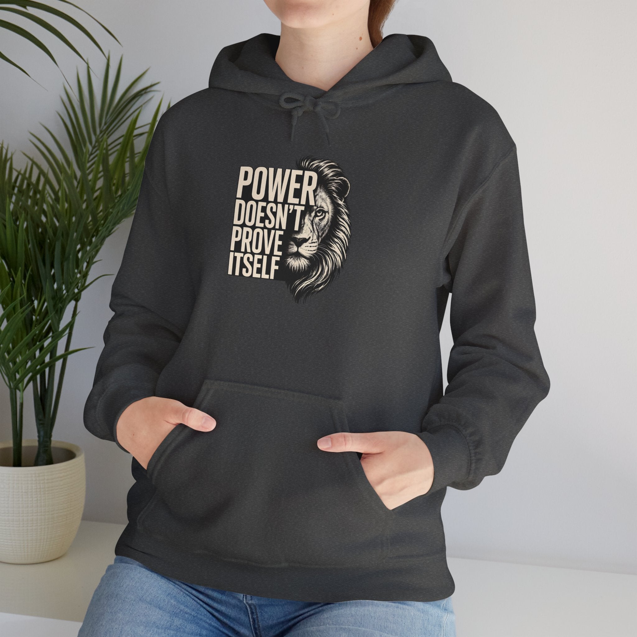 Lion 'Power Doesn't Prove Itself' Hoodie — Inspirational Graphic Sweatshirt