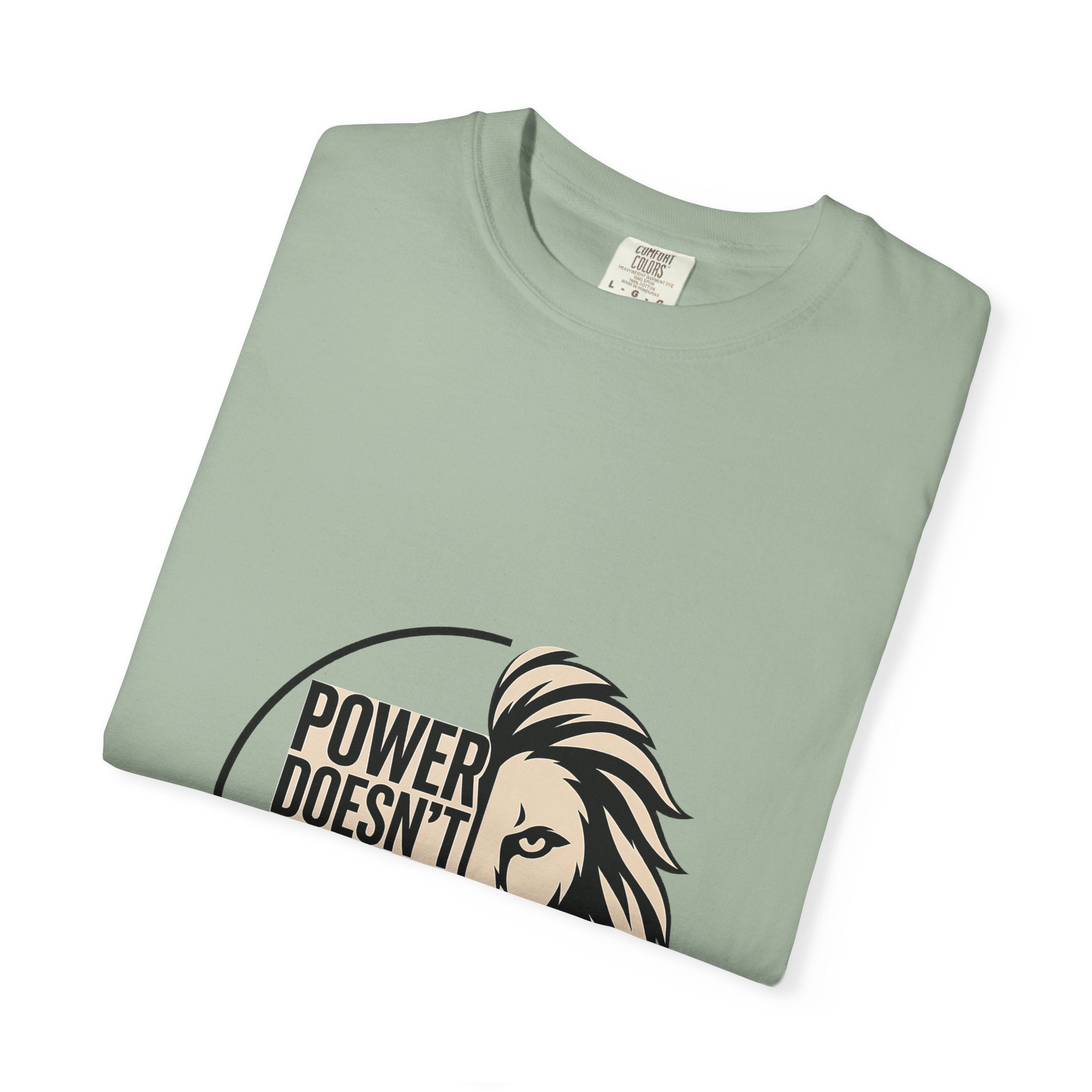 Power Doesn’t Prove Itself Lion T-Shirt