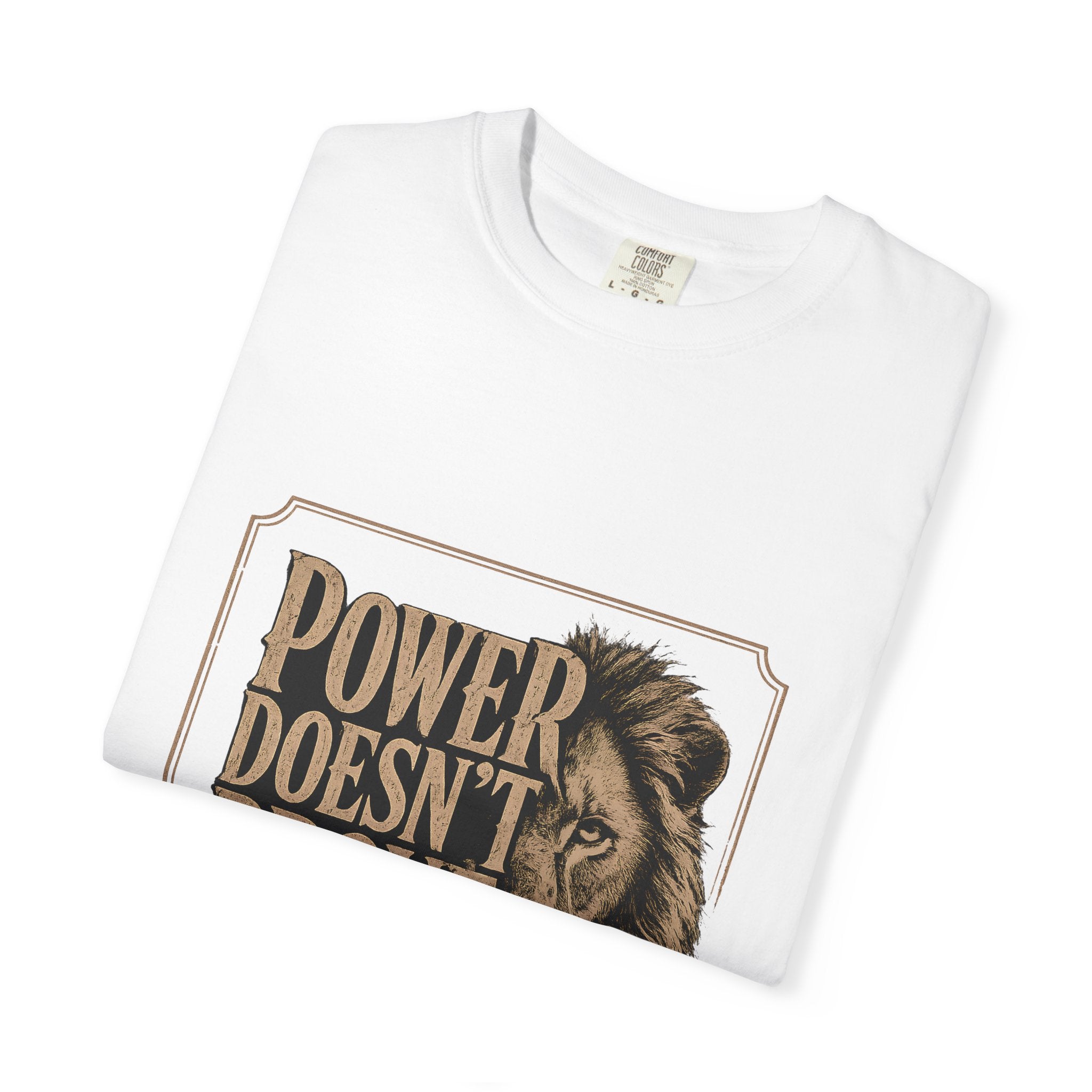 Power Doesn't Prove Itself Lion T-Shirt — Motivational Graphic Tee