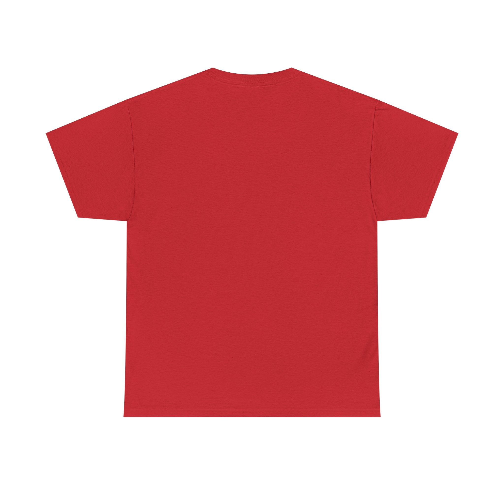 Lion Graphic Tee — "Power Doesn't Prove Itself" Motivational T-Shirt